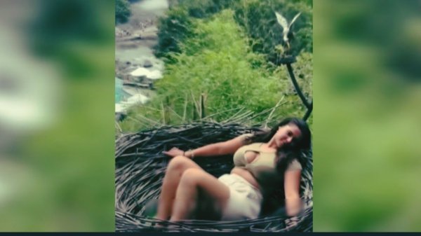 #смешныевидео -908