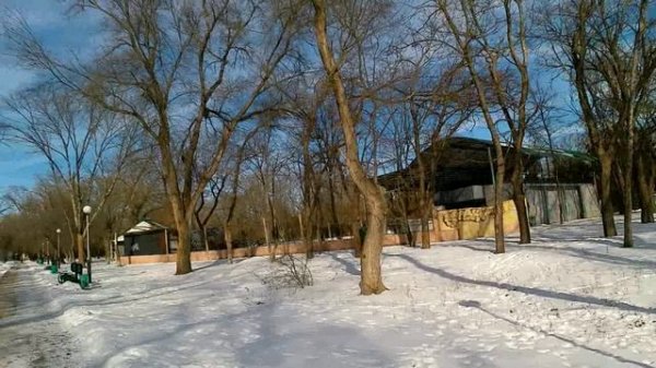 Зимний сюжет!