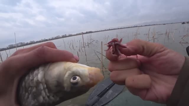 ОТБОРНЫЙ КАРАСЬ КРУПНЯК!!! УДОЧКИ ГУДЯТ!! РЫБАЛКА НА ПОПЛАВОК ВЕСНОЙ ! смотреть онлайн