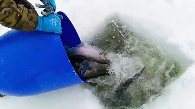 11.02.26 смотреть онлайн