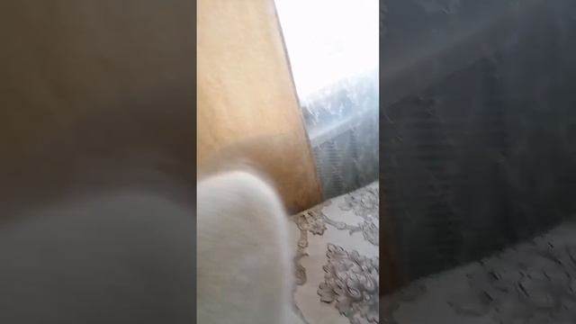 89507716355 Тёплые, красивые, пуховые вещи . Видео отзыв моей покупательницы Оксаны. смотреть онлайн