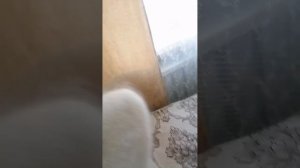 89507716355 Тёплые, красивые, пуховые вещи . Видео отзыв моей покупательницы Оксаны.