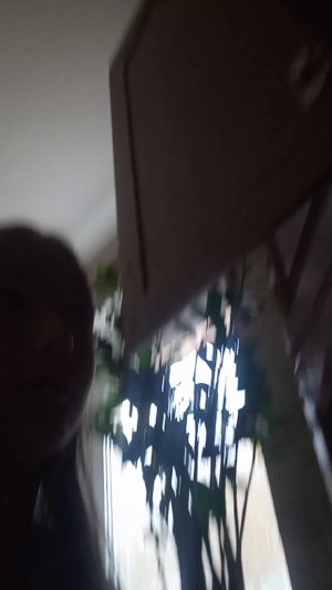 готовлю завтрак