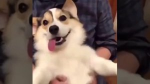 факт в описании