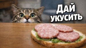 Смех до слёз: лучшие приколы №238