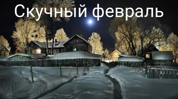 Скучный февраль или КОТоБУДНИ первой декады последнего месяца зимы