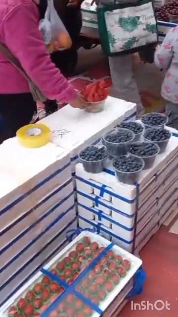 китай.маньчжурия! смотреть онлайн