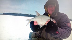 РАДИ ЭТИХ ПОКЛЁВОК СТОИТ ЕХАТЬ НА РЫБАЛКУ! ЛОВЛЯ ПОДЛЕЩИКА ЗИМОЙ НА МОРМЫШКУ .