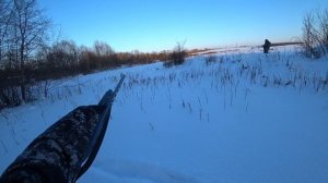 Вечерний выход по зайцу. Охота в Ленинградской области сезон 2025-2026