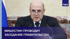 Мишустин проводит заседание правительства