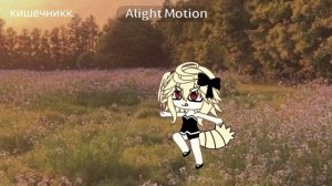 вайбик словили