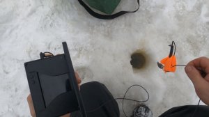 Здесь рыбы нет! Секрет сорвался с цепи. Ремонт ворот.