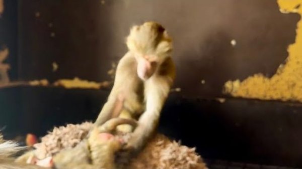 Анфиса СХВАТЫВАЕТ все на лету, показывает паспорт и ПОДЧИНЯЕТСЯ Люське!