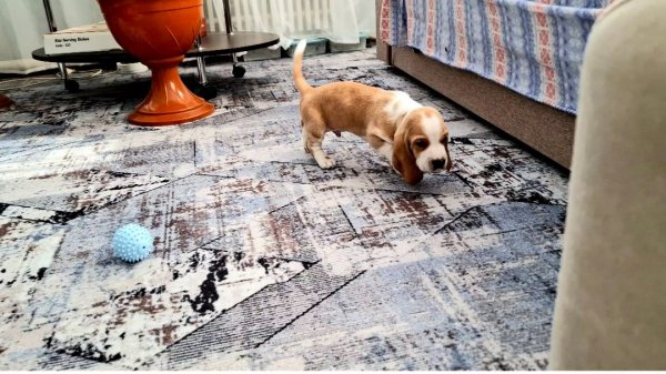 1050 Обманули.Прогулялись.У нас не так как у Всех.Жизнь Станичная.