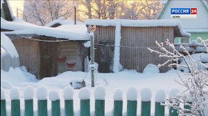 Синоптики предупреждают об опасном агро-метеорологическом явлении на юге Коми