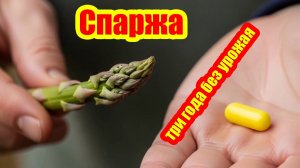 Спаржа - урожай всю жизнь