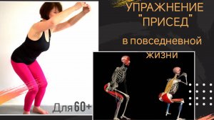 Упражнение "Присед" в повседневной жизни (фрагмент прямого эфира)