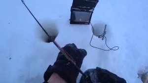 ДИКИЙ ЖОР ОКУНЯ В ГЛУХОЗИМЬЕ!!! ЗИМНЯЯ РЫБАЛКА 2026