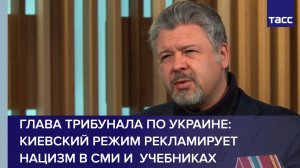 Глава трибунала по Украине: киевский режим продвигает нацизм в СМИ и учебниках