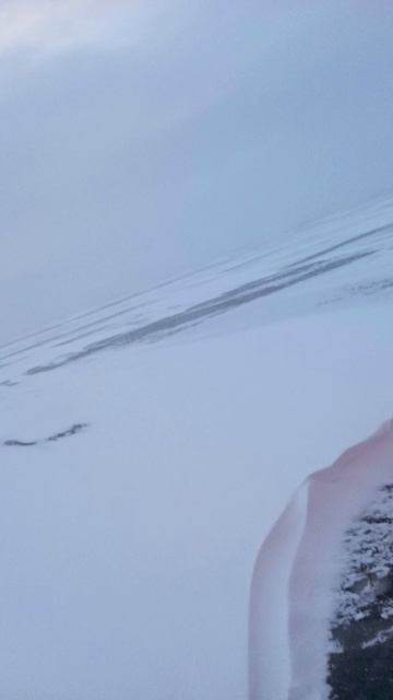 В поисках корюшки. смотреть онлайн