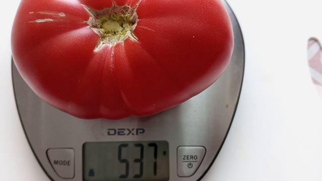 Возьмите на заметку! Сладкий и мясистый томат-Малиновый Слон. Рекомендую смотреть онлайн