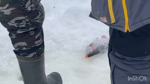 11.02.26 - ловим форель