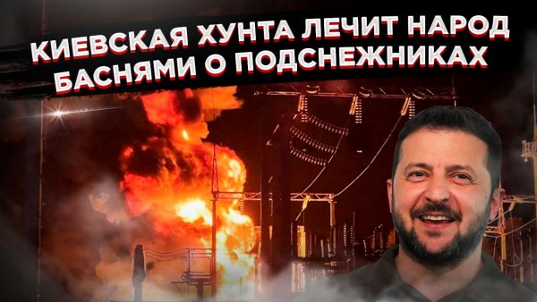 «Подснежники» вместо тепла: киевские чиновники советуют замерзающим людям «потерпеть до весны»!!