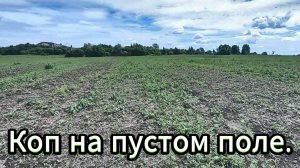 Приборный поиск. Зарастающее поле.