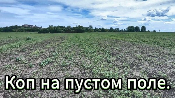 Приборный поиск. Зарастающее поле.