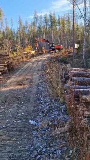 Строительство нового моста 2025!!!