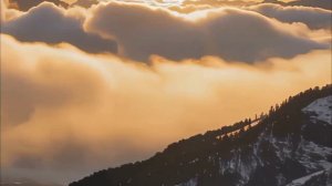 11 Февраля - День, когда желания начинают исполняться.