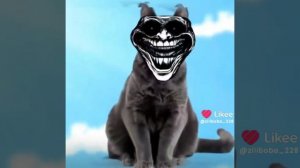 мiнго☠️🥭🥭☠️☠️☠️🥭☠️🥭☠️🥭☠️