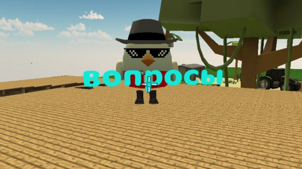 Вопросы для подписчиков