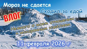 ВЛОГ: мороз, сходил за едой, про макароны поговорил 11 февраля 2026 г