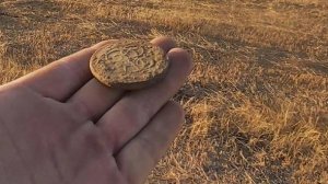 Я БЫЛ В ШОКЕ ОТ ТАКОЙ РЕДКОЙ И ДОРОГОЙ НАХОДКИ 😎😎