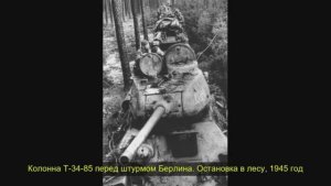 Жизнь прожита не зря Винтажные снимки открывают забытую историю