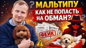 Мальтипу. Как не попасть на обман?