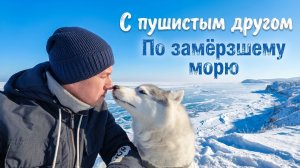МАРИУПОЛЬ 2026. Такое не часто увидишь. По замёрзшему морю с пушистым другом.