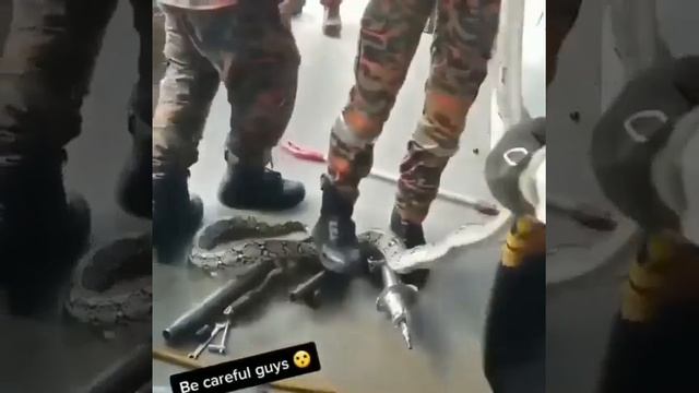 Вот такой у них оказался фильтр. смотреть онлайн