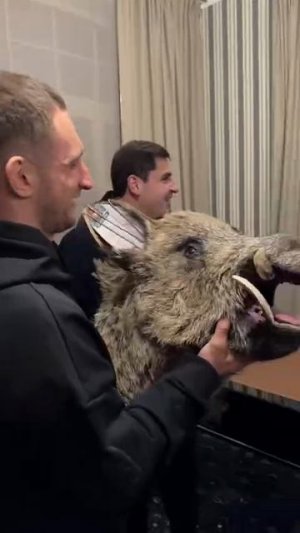 😄Джейк Пол примерил шкуру медведя!