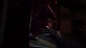 Пилю дрова.