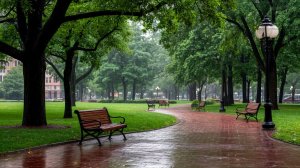 Летний дождь