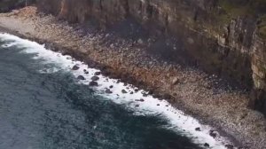 Правдивая Ольга.Леля Быкова - совсем озверела.Суслик не смог молчать.Деревенский дневник.