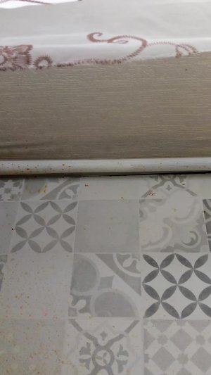 Просто стрим