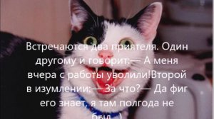 Анекдотцы - 16 🤣