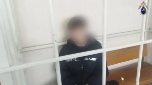 ПОДРОСТКА-ДИВЕРСАНТА ЗАКЛЮЧИЛИ ПОД СТРАЖУ