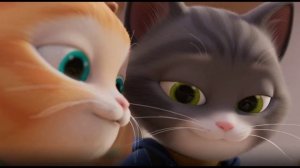 Теория жидкого кота