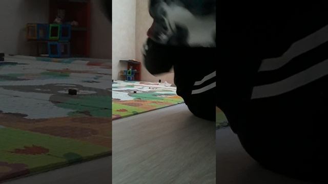 20260211_121057.mp4 смотреть онлайн