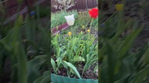 24 мая 2024 года.