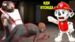 КАК  ДЕД ГРЕННИ ИСПУГАЛСЯ СЕКРЕТА БАБКИ ГРЕННИ В МАЙНКРАФТ